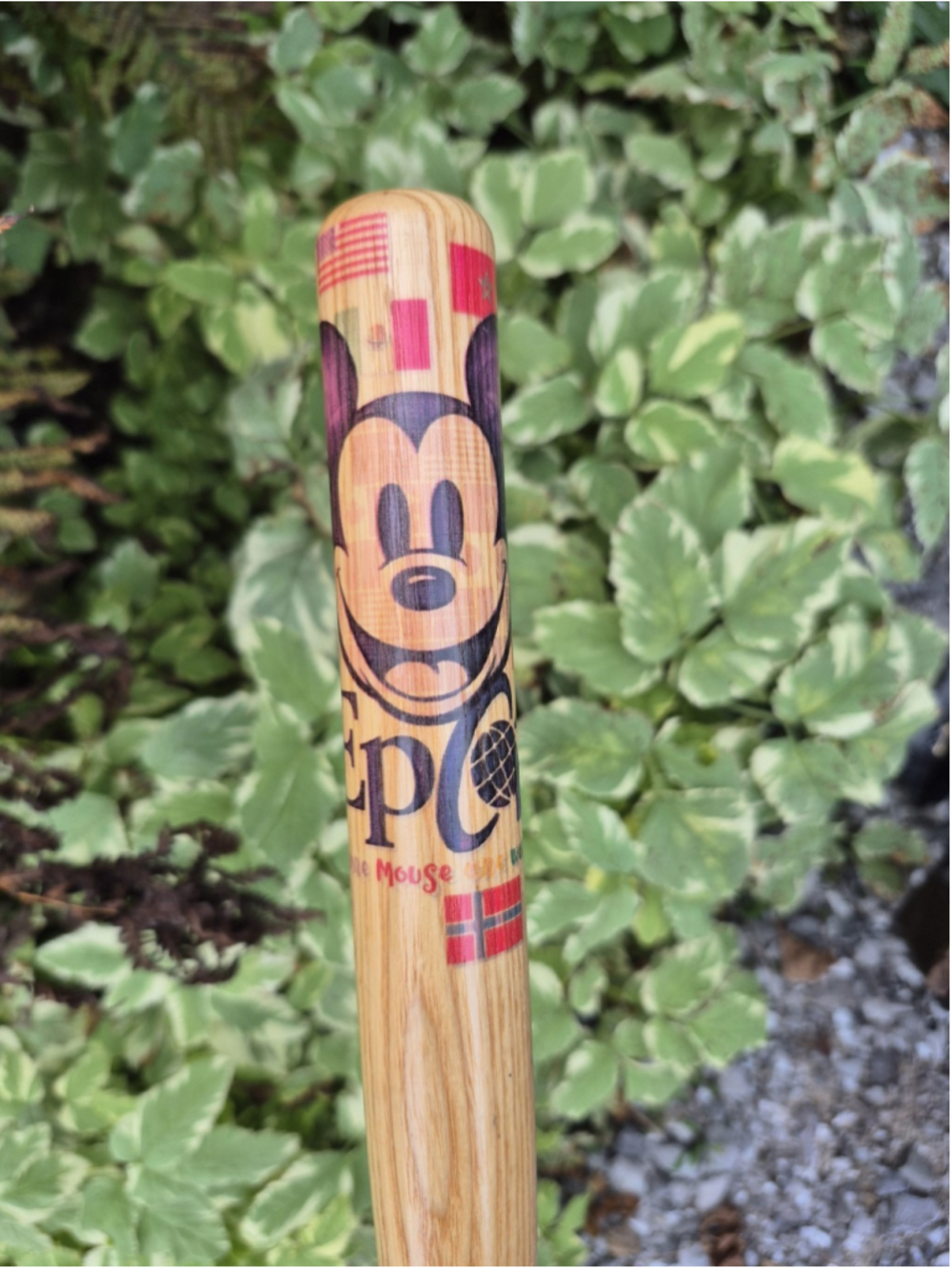 Disney Epcot Mouse One World Mickey Mouse Souvenir Wooden Mini Baseball Bat 🍊
